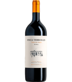 More about Finca Terrerazo 2021 (TARA)