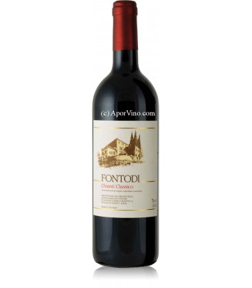 Fontodi Chianti Classico 2021