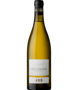 More about José Antonio García Godello y Doña Blanca 2022