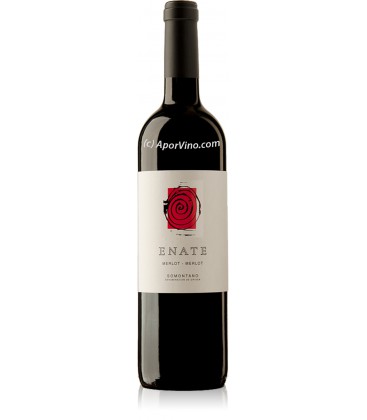 Enate Merlot - Merlot 2010