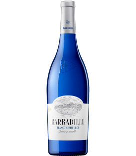 More about Barbadillo Blanco Semidulce 2023