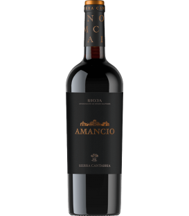 More about Amancio 2020