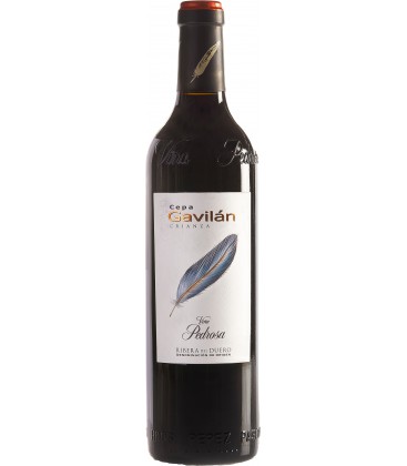 Estuche con 3 botellas de Cepa Gavilan Crianza 2021